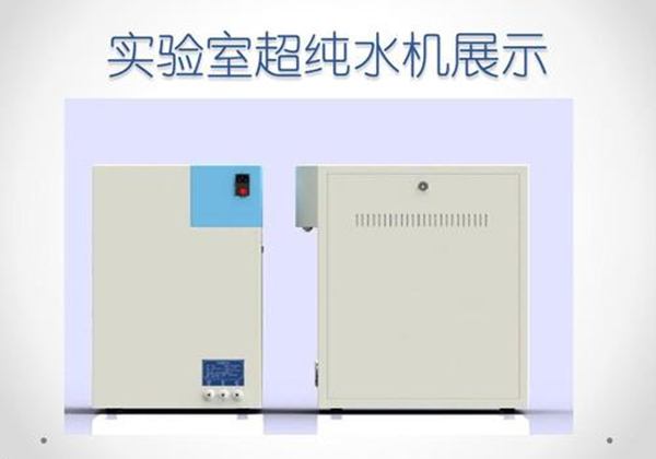 三级片香蕉视频